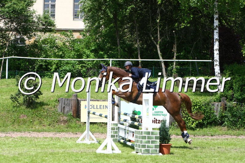 005M5138_Glamour Girl T_L Springen.JPG